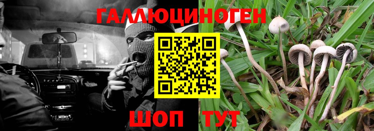Псилоцибиновые грибы прущие грибы Топки